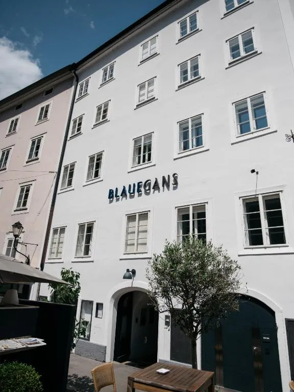 Arthotel Blaue Gans